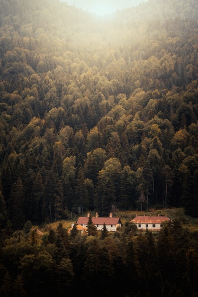 White and brown concrete house, surrounded by green trees during the day
